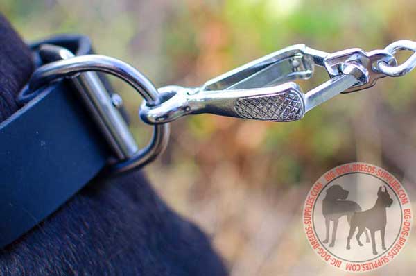 Strong D ring for Leash Fastening