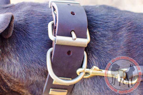 Strong D-Ring Secured with High Quality Rivets