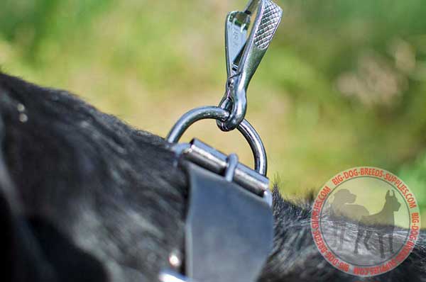 Strong nickel d-ring for leash fastening