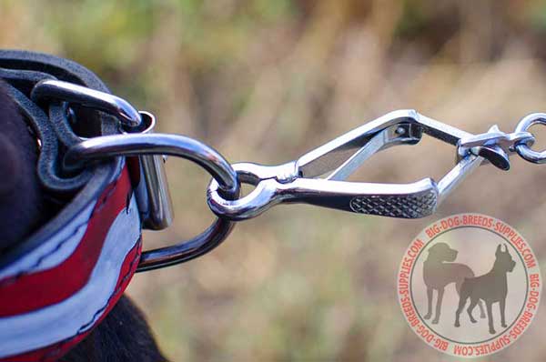 Nickel-Plated D-ring for Leash