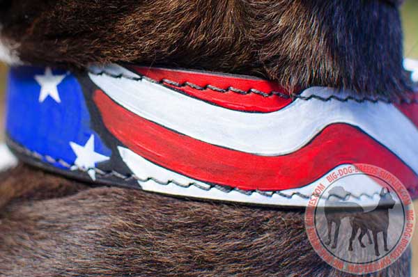 Exclusive Painting of USA Flag