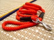 Cord nylon dog leash-Designer dog lead