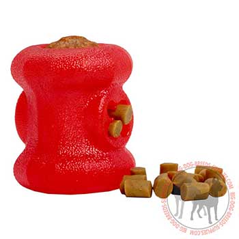 Harmless Canine Rubber Toy for Chewing