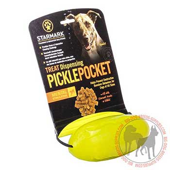 Canine Treat Dispenser for Chewing