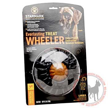 Safe Dog Rubber Treat Holder