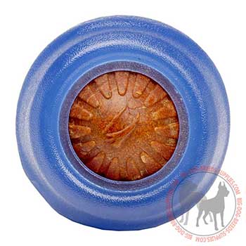 Canine Treat Dispenser for Chewing