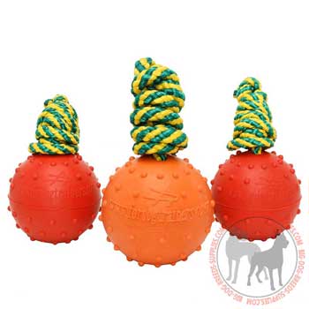 Dog rubber toy for water games