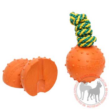 Dog rubber toy for water games