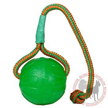 Foam Dog Toy for Chewing
