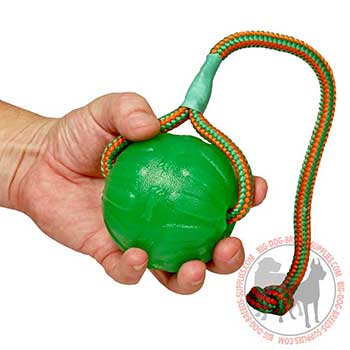 Dog Rubber Toy for Chewing
