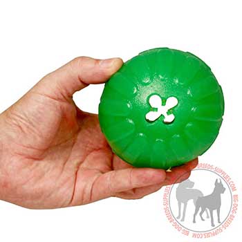 Special Rubber Dog Toy for Good Dental Hygiene