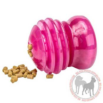 Strong Rubber Dog Toy for Chewing
