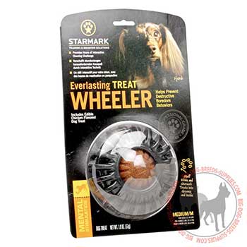 Safe Dog Rubber Treat Holder