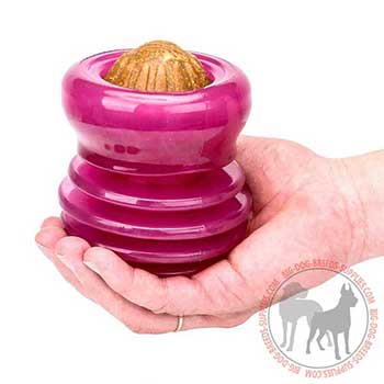 Large Dog Rubber Kibble Dispenser
