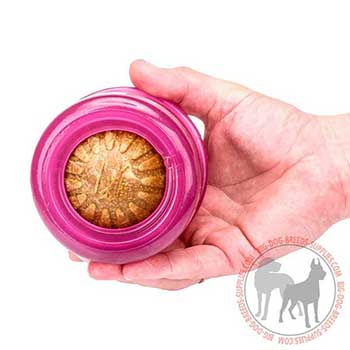 Non-toxic Dog Rubber Treat Holder for Chewing