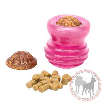 Small Dog Rubber Kibble Dispenser