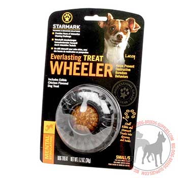 Safe Dog Rubber Treat Holder for Small Dogs
