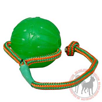 Canine Rubber Toy for Water Activities