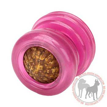 Strong Dog Rubber Treat Dispenser