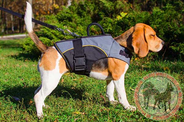 Nylon Dog Harness of Vest Type