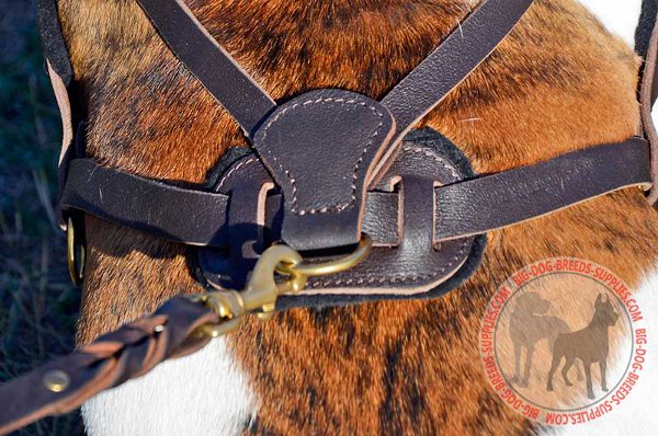 Brass Hardware Stitched to Leather Harness with Nylon Thread