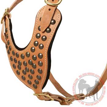 Studded breast plate of leather dog harness