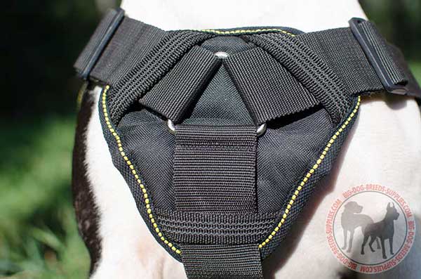 Cushion-like chest plate for training