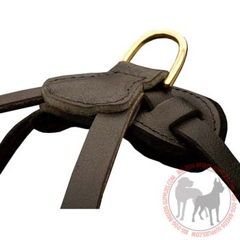 D-Ring Stitched to Leather Dog Harness for Leash Attachment