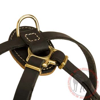 D-Ring Stitched to Leather Puppy Harness for Lead Attachment
