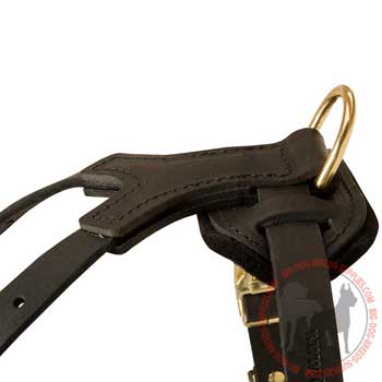 D-Ring for leash attachment on leather harness
