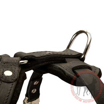 D-Ring on leather dog harness for leash attachment