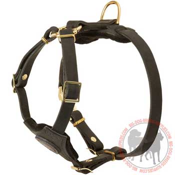 Dog Leather Harness Four Ways Adjustable