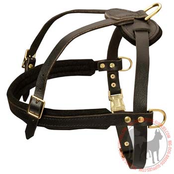 Dog Leather Harness with 4 Ways of Adjustment