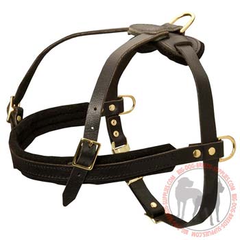 Dog Leather Harness with Padding for More Comfort