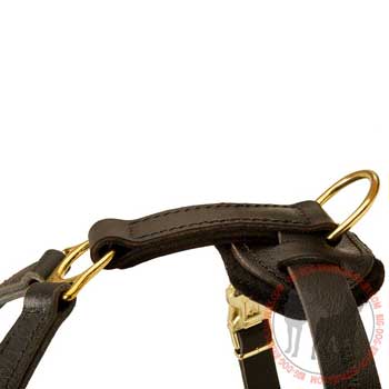 Dog leather harness extra durable
