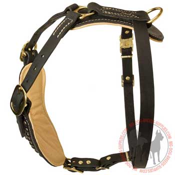 Leather dog harness with easy quick release buckle