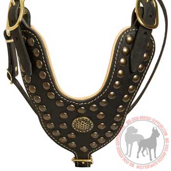 Dog leather harness fancy design