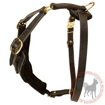 Leather dog harness with buckle