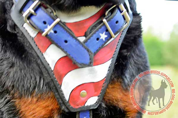 USA Flag Painted Chest Plate Wide Comfortable