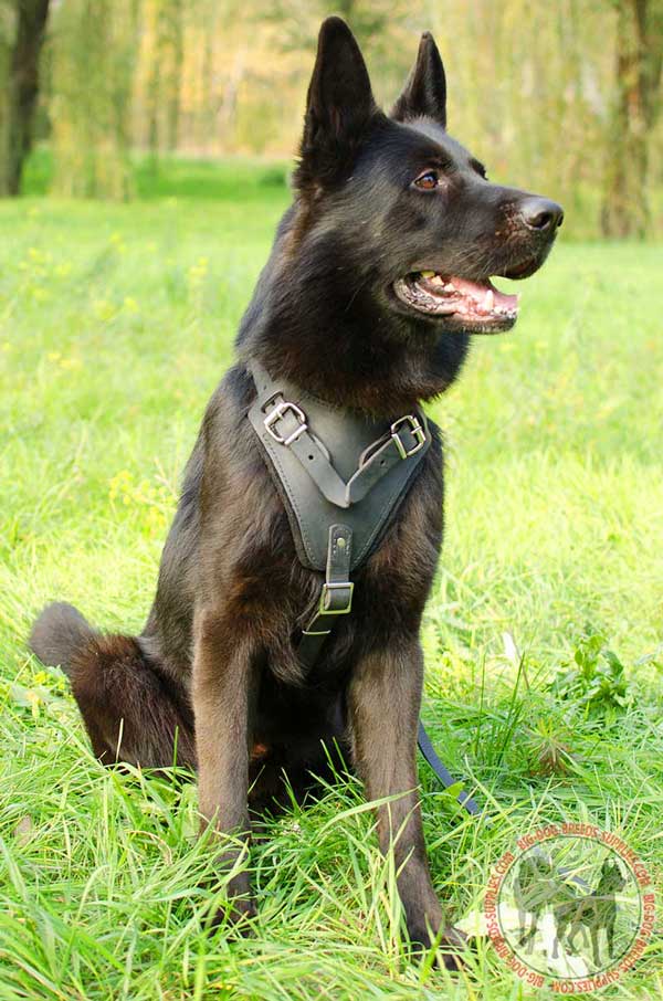 Strong German Shepherd Harness with Handle for Attack Training