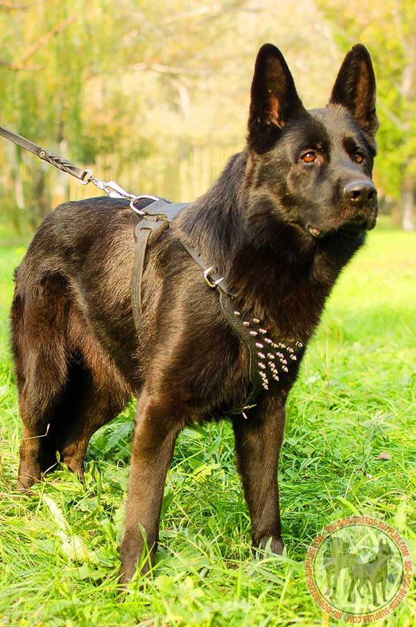 Leather Harness for German Shepherd Fashion Walking