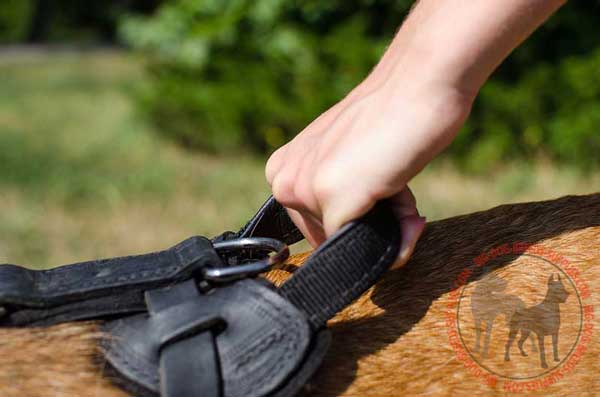 Handle for Control on Leather Attack Training Harness