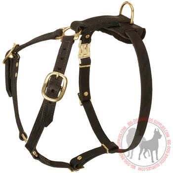 Black Leather Harness for Tracking