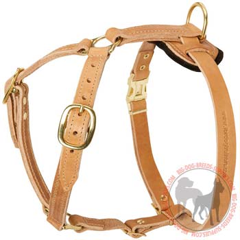 Training Leather Dog Harness