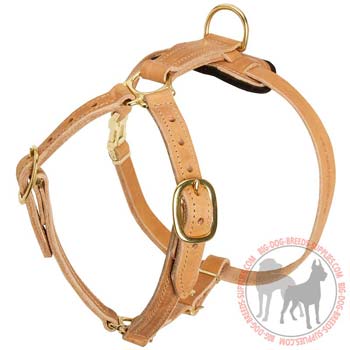 Leather Harness for Dog Tracking