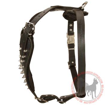 dog harness