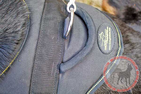 Handle Control Harness