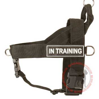 Nylon Harness for Dog Training