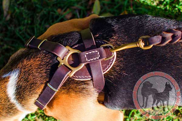 Stitched Padded Back Pad of Brown Color