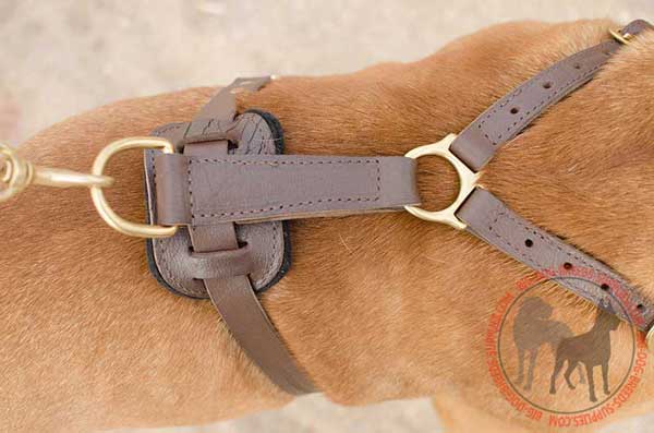 Comfortable Leather Dog Harness